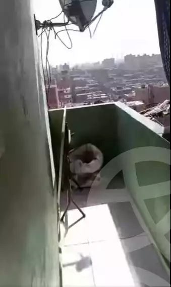 https://aqarmap.com.eg/en/listing/6123639-for-sale-qalyubia-shubra-el-khaima