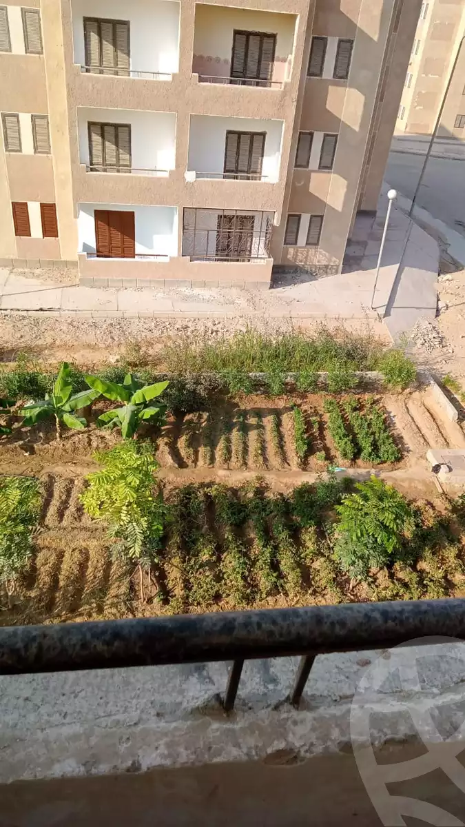https://aqarmap.com.eg/en/listing/6127012-for-rent-el-minia-mdyn-lmny-ljdyd-zhr-lmny-ljdyd