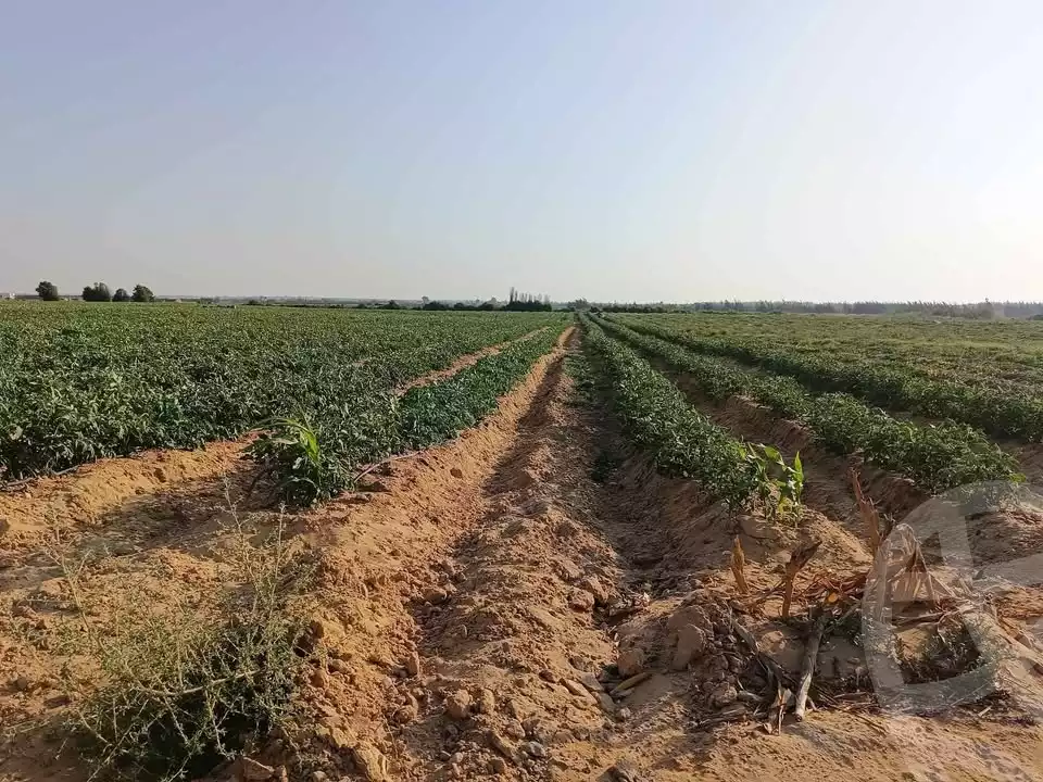 https://aqarmap.com.eg/en/listing/6133695-for-sale-beheira-wadi-el-natrun