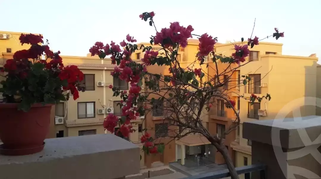 https://aqarmap.com.eg/ar/listing/6137020-for-rent-cairo-el-sheikh-zayed-city-compounds-casa