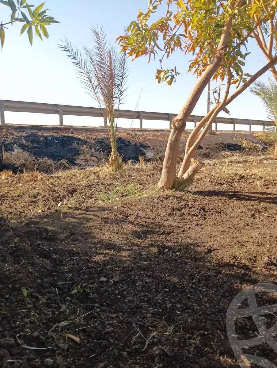 https://aqarmap.com.eg/en/listing/6137444-for-sale-aswan-aswan-city-behreef