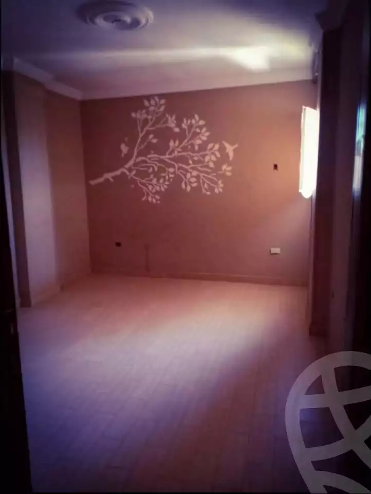 https://aqarmap.com.eg/en/listing/6139377-for-sale-cairo-el-haram-el-lebeny-el-magzar-el-aly-st