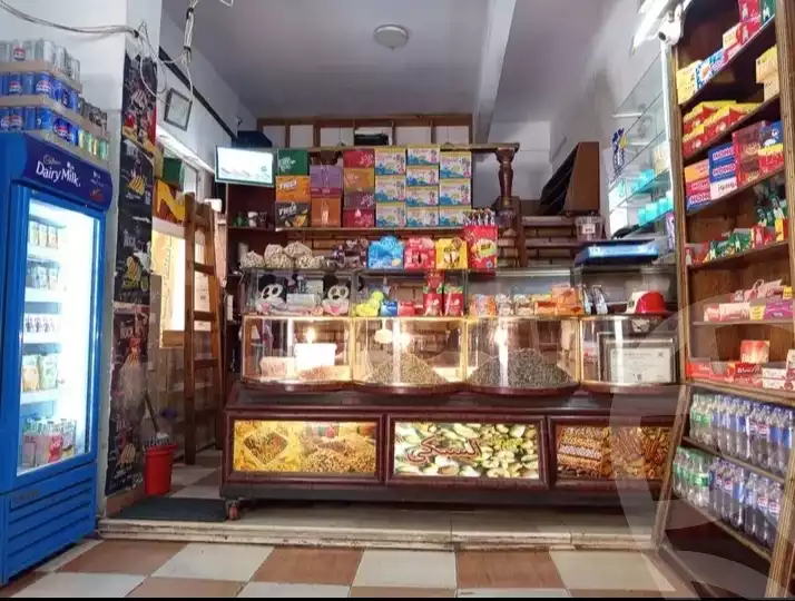 https://aqarmap.com.eg/en/listing/6139874-for-sale-alexandria-ganaklis