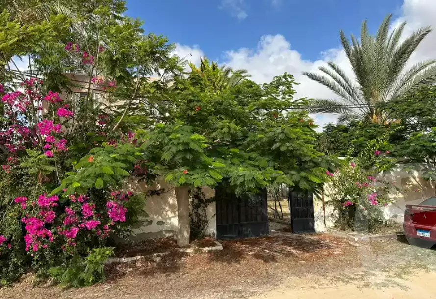 https://aqarmap.com.eg/en/listing/6140166-for-sale-alexandria-borg-el-arab