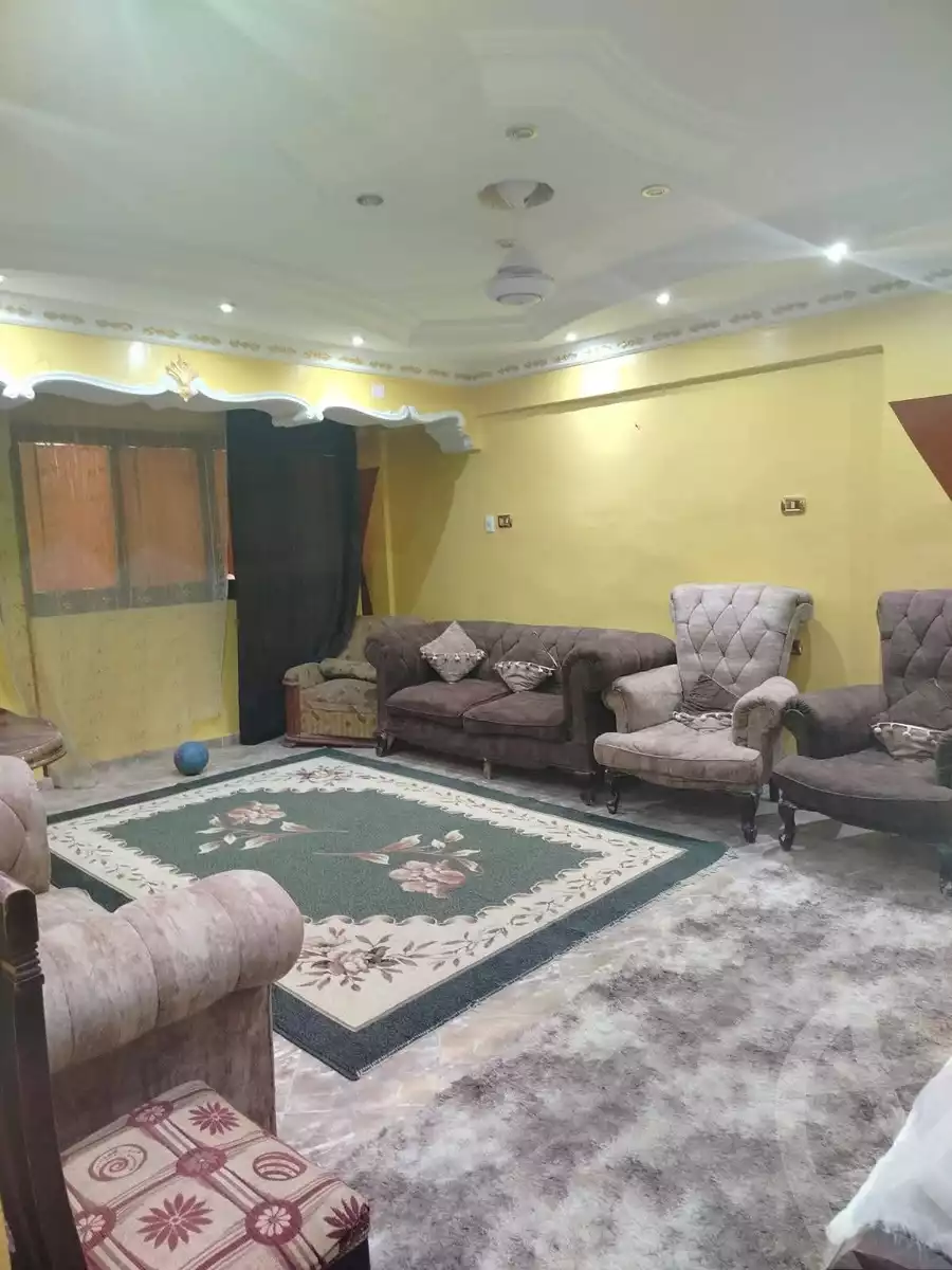 https://aqarmap.com.eg/en/listing/6140443-for-rent-suez-suez-city