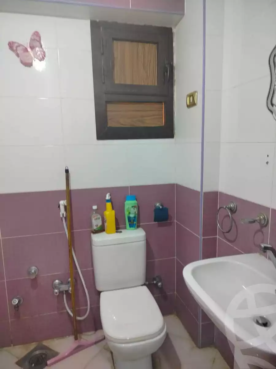 https://aqarmap.com.eg/en/listing/6140443-for-rent-suez-suez-city