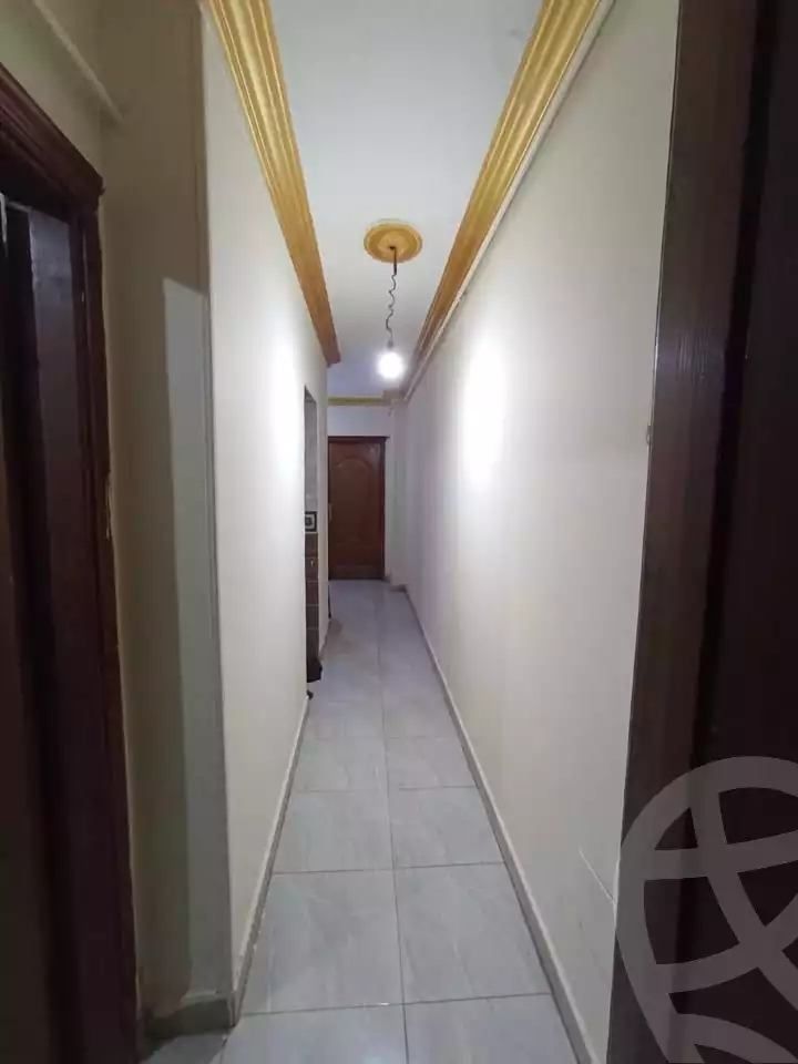https://aqarmap.com.eg/en/listing/6141336-for-rent-qalyubia-shubra-el-khaima