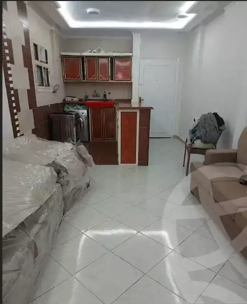 https://aqarmap.com.eg/en/listing/6142282-for-rent-alexandria-sn-styfnw