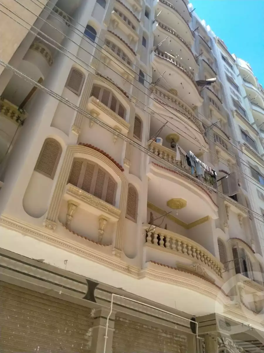 https://aqarmap.com.eg/ar/listing/6144871-for-rent-gharbia-tanta-tanta-city-kafr-essam-st