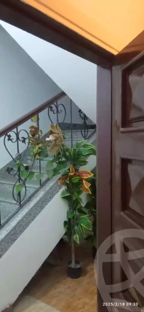 https://aqarmap.com.eg/en/listing/6151316-for-rent-cairo-new-cairo-ganob-el-akadamiya-south-academy-g-hussein-sirri-st