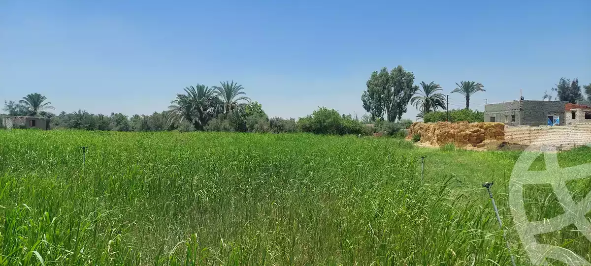 https://aqarmap.com.eg/en/listing/6153287-for-sale-ismailia-kassassin