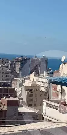 https://aqarmap.com.eg/ar/listing/6153332-for-sale-alexandria-miami-mahmoud-el-isawy-st