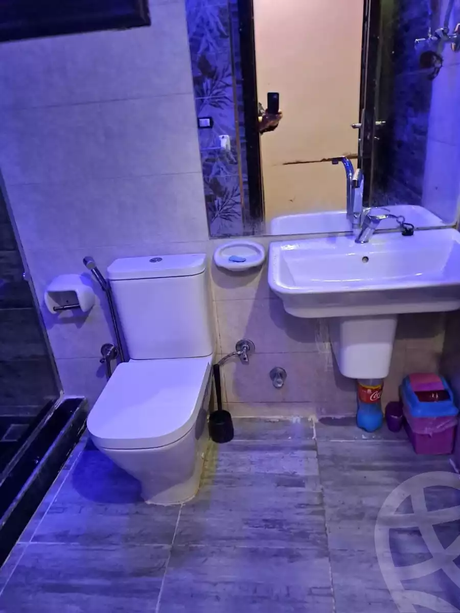 https://aqarmap.com.eg/en/listing/6157280-for-rent-cairo-el-haram-el-maryotya-al-amira-fadia-st