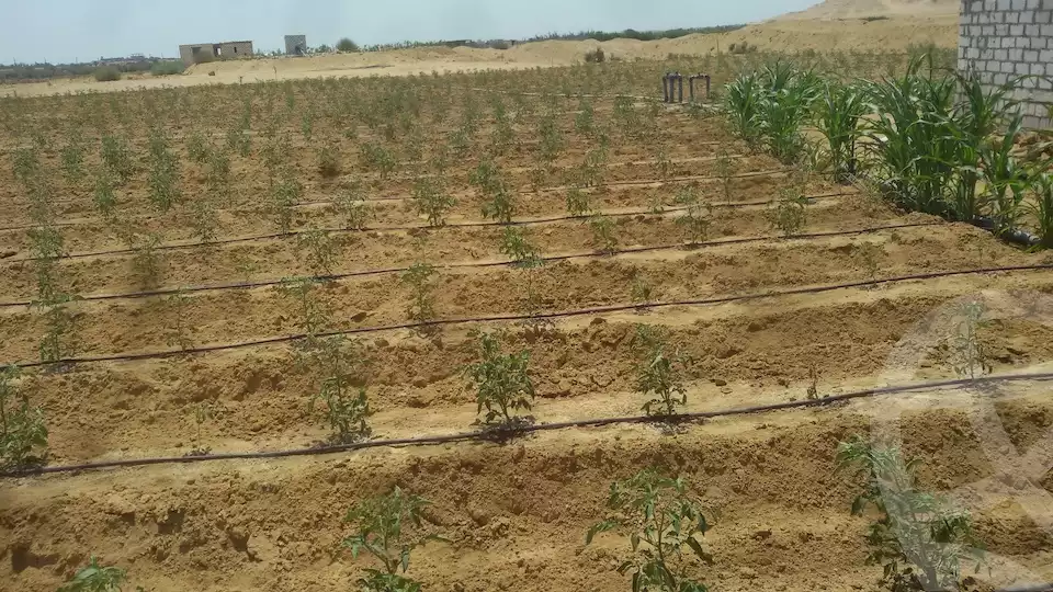https://aqarmap.com.eg/en/listing/6157826-for-sale-el-fayoum-tamiya-tamiyyah-city