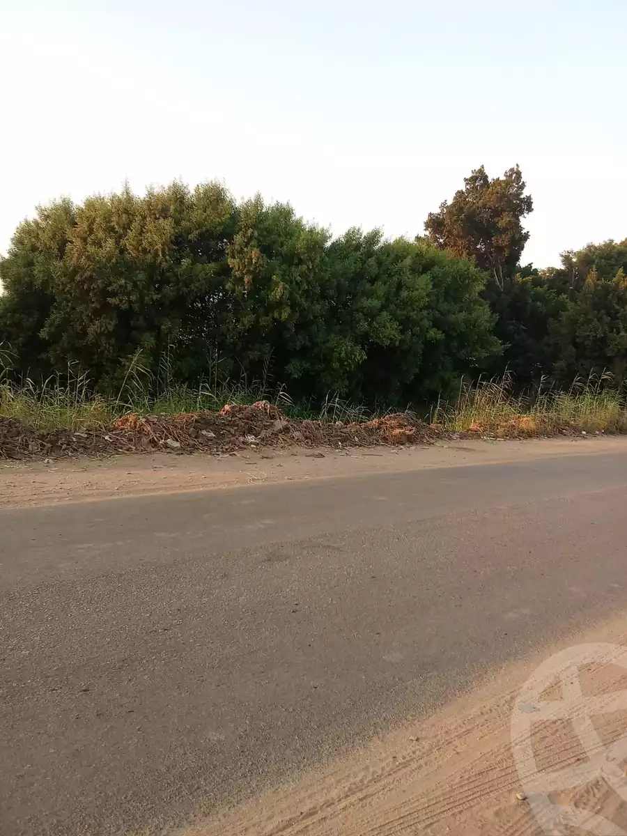 https://aqarmap.com.eg/ar/listing/6163256-for-sale-dakahlia-mit-ghamr-met-mohsen