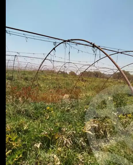 https://aqarmap.com.eg/en/listing/6164782-for-sale-cairo-ljyz-l-yt