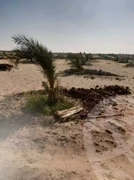 https://aqarmap.com.eg/ar/listing/6167825-for-sale-new-valley-kharga-oasis