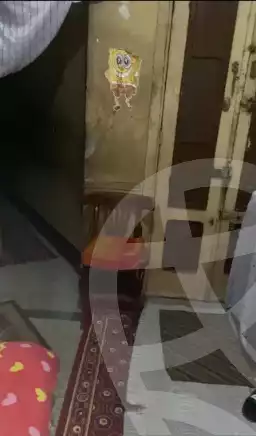 https://aqarmap.com.eg/en/listing/6168956-for-sale-cairo-downtown-bolak-abo-el-ala
