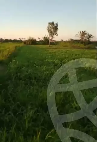 https://aqarmap.com.eg/ar/listing/6184571-for-sale-damietta-mdyn-dmyt-el-gawahrh