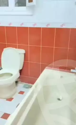 https://aqarmap.com.eg/en/listing/6190980-for-rent-gharbia-tanta-tanta-city-anwar-st