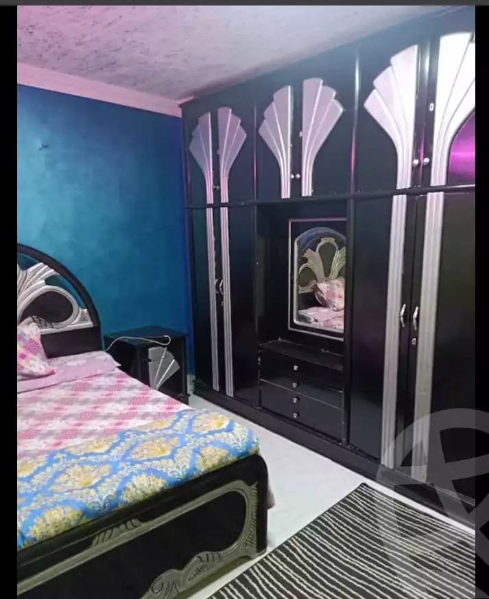 https://aqarmap.com.eg/en/listing/6195074-for-sale-cairo-ain-shams-ain-shams-el-sharkia-genenat-el-sherif-st