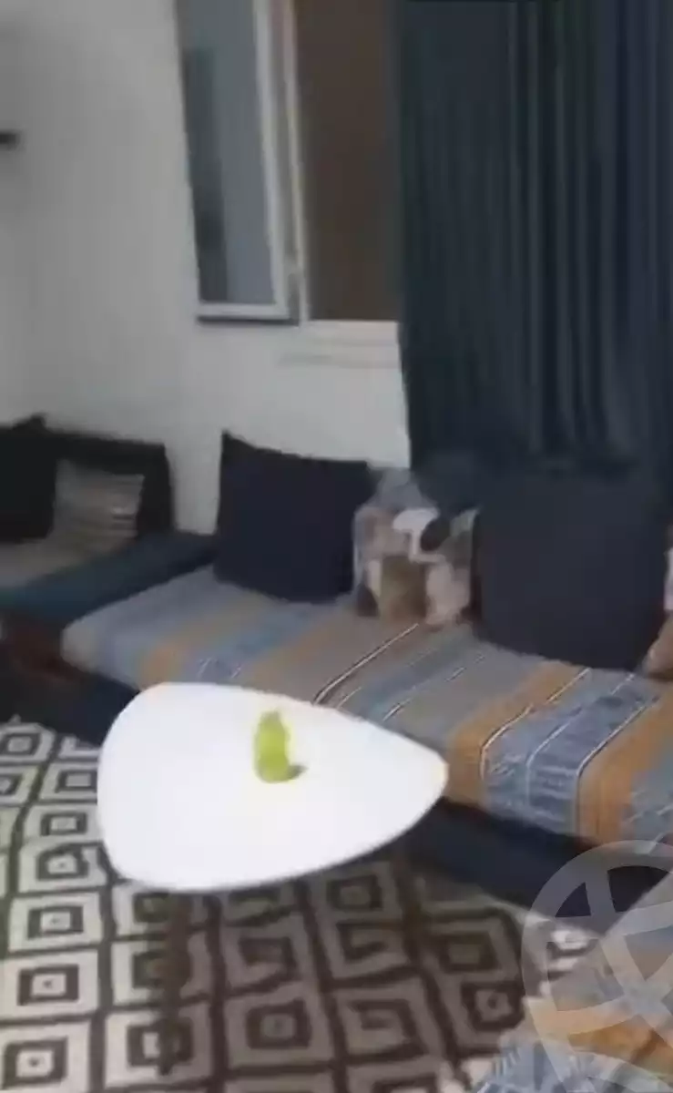 https://aqarmap.com.eg/ar/listing/6195201-for-sale-cairo-helwan-hadayek-helwan-el-eshrein-st