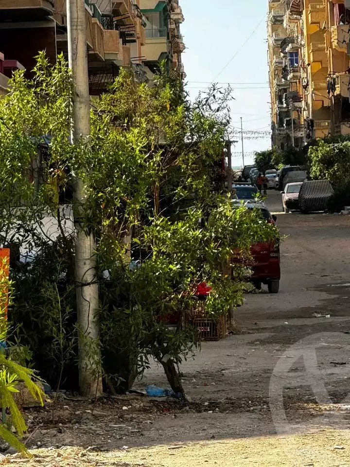 https://aqarmap.com.eg/ar/listing/6198122-for-sale-alexandria-l-jmy-shataa-el-nakheel-street-65