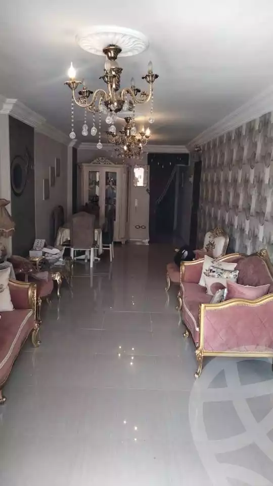 https://aqarmap.com.eg/ar/listing/6198175-for-sale-alexandria-ganaklis
