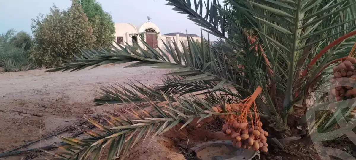 https://aqarmap.com.eg/ar/listing/5797731-for-sale-cairo-ljyz-bahariya-oasis