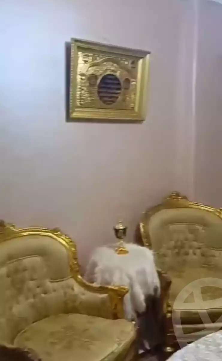 https://aqarmap.com.eg/ar/listing/6201840-for-sale-cairo-faisal-el-talbeya
