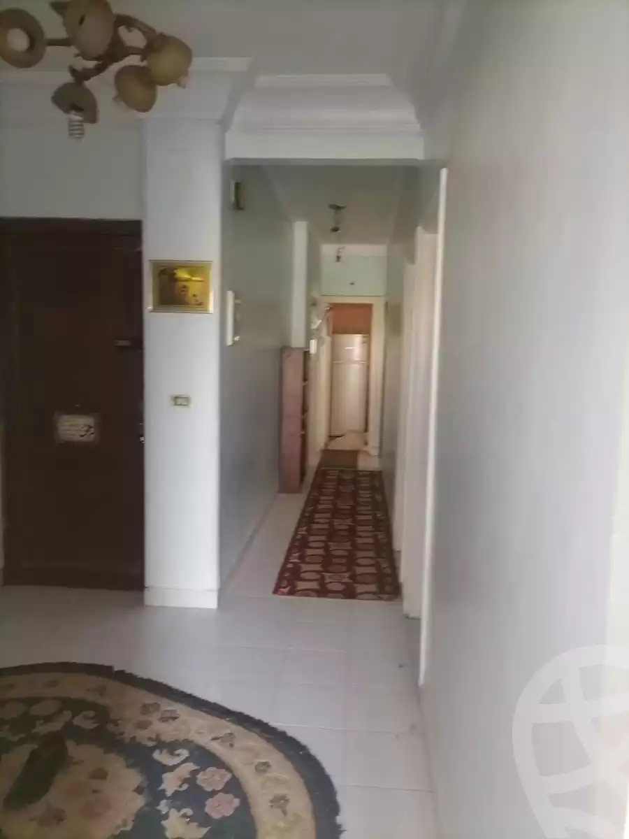 https://aqarmap.com.eg/en/listing/6207314-for-rent-cairo-manial-manial-st