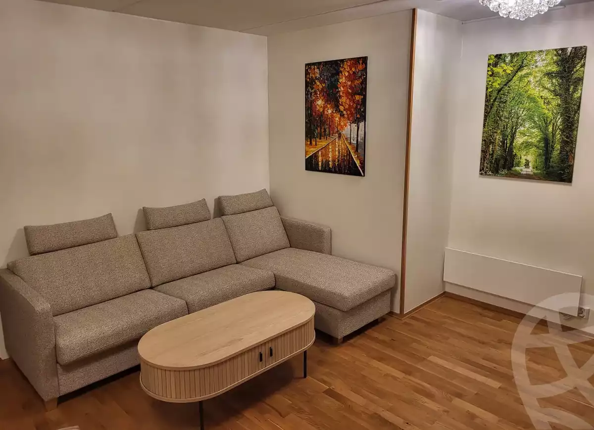 https://aqarmap.com.eg/en/listing/6026154-for-rent-cairo-nasr-city-makram-ebeid