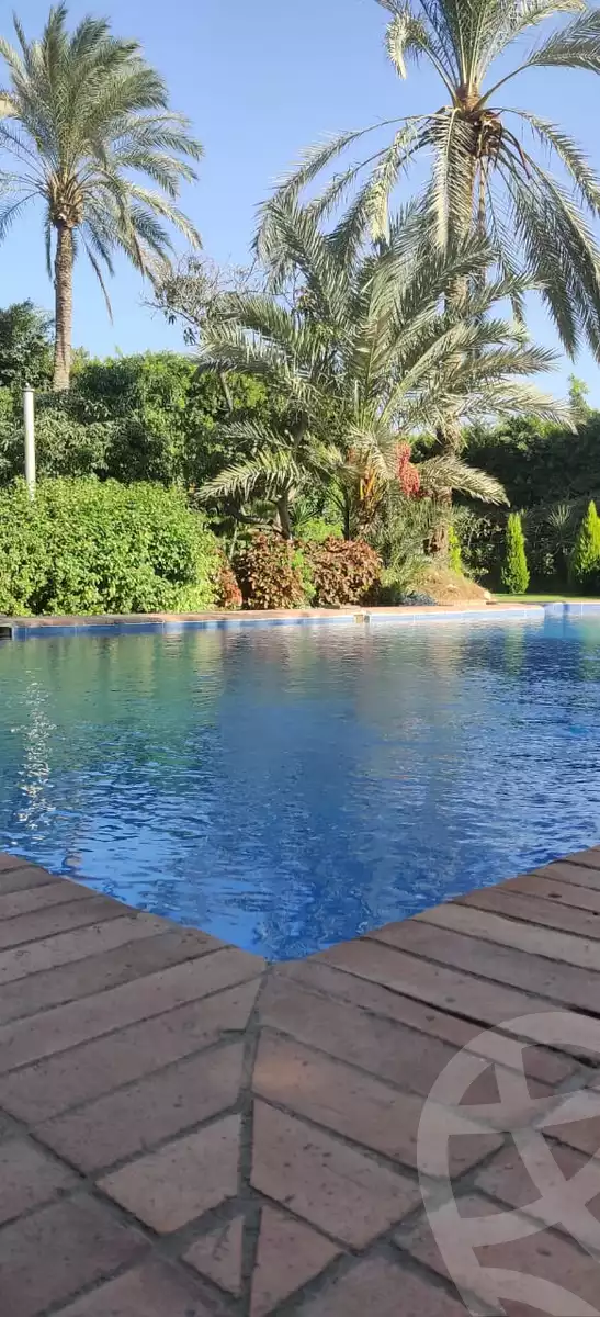 https://aqarmap.com.eg/en/listing/6211893-for-sale-alexandria-king-maryot-omar-el-mokhtar-st