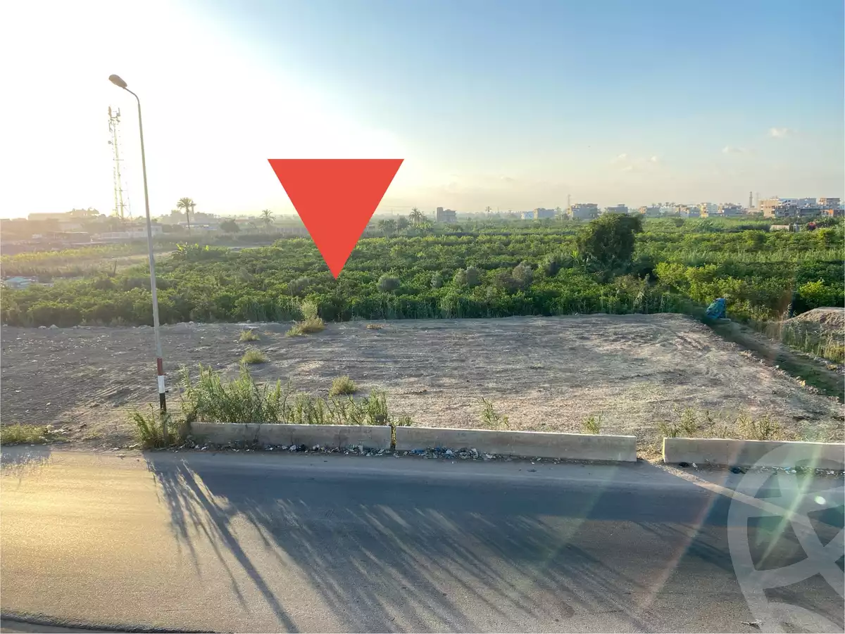 https://aqarmap.com.eg/ar/listing/6213411-for-sale-alexandria-miami-45-street