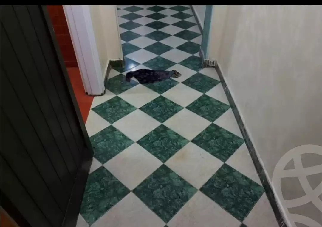 https://aqarmap.com.eg/ar/listing/6216697-for-rent-cairo-el-matarya-shjr-mrym