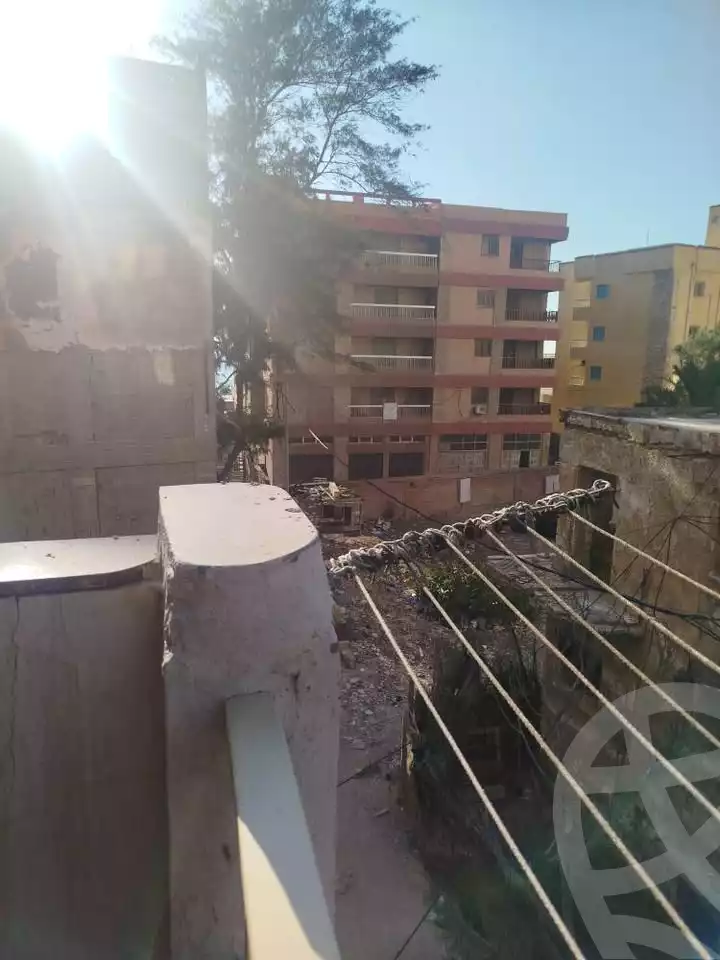 https://aqarmap.com.eg/en/listing/6225417-for-rent-alexandria-l-jmy-lbytsh-shahr-al-assal-st