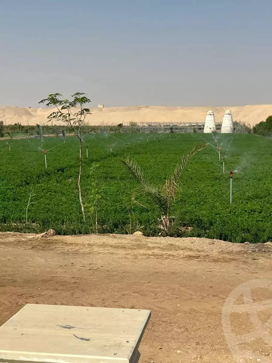 https://aqarmap.com.eg/en/listing/6225749-for-sale-qina-farshout