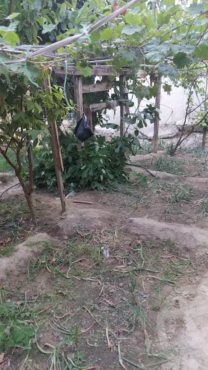 https://aqarmap.com.eg/en/listing/6225997-for-sale-ismailia-kassassin