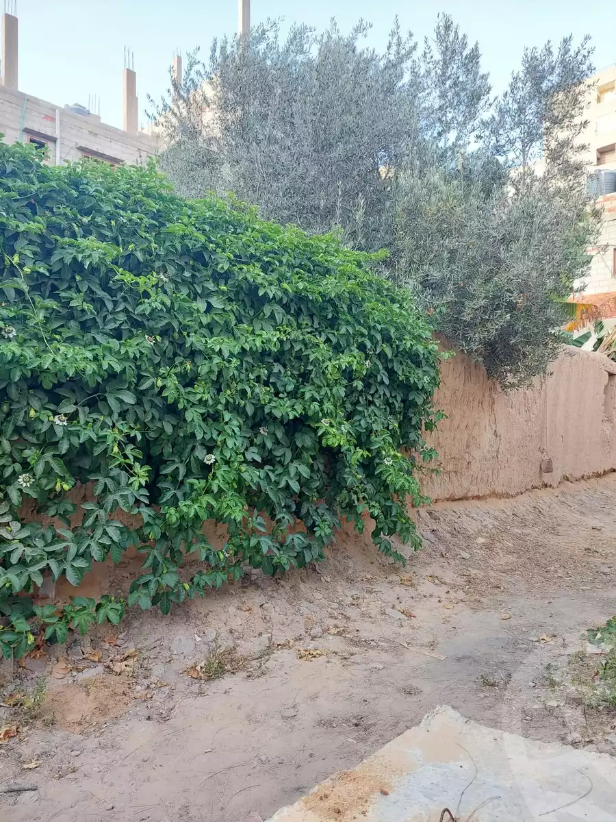 https://aqarmap.com.eg/en/listing/6225997-for-sale-ismailia-kassassin