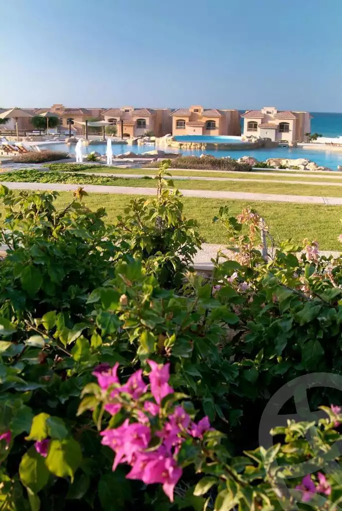 https://aqarmap.com.eg/ar/listing/6228658-for-sale-north-coast-resorts-telal-2