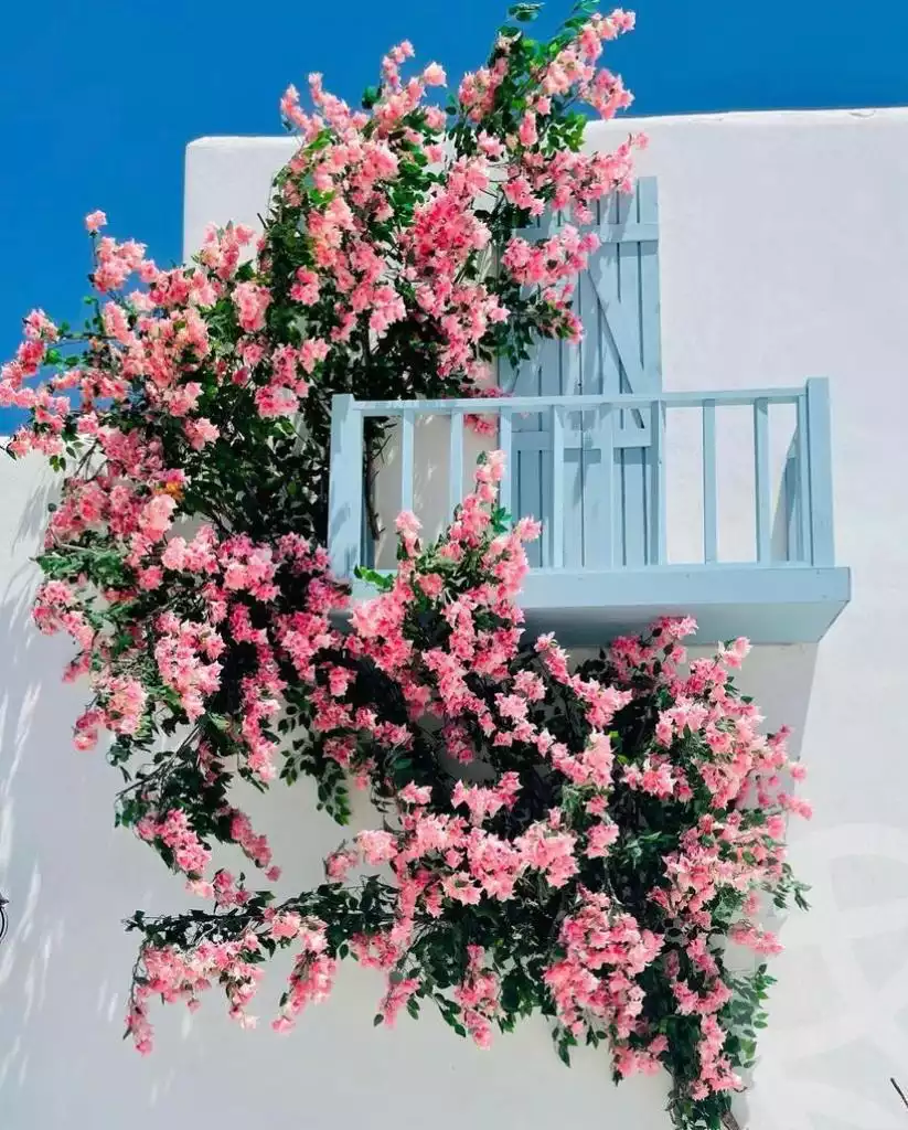 https://aqarmap.com.eg/ar/listing/6230528-for-sale-north-coast-resorts-lvls-resort-mountain-view