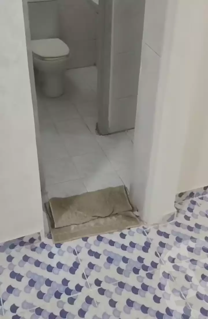 https://aqarmap.com.eg/en/listing/6237401-for-sale-qalyubia-shubra-el-khaima-byjm