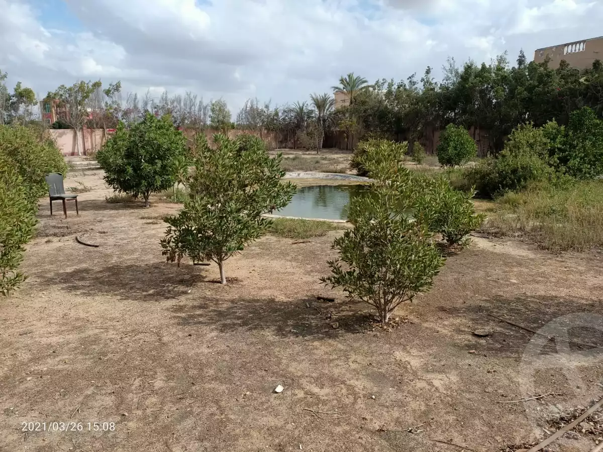 https://aqarmap.com.eg/en/listing/6237768-for-sale-cairo-el-sheikh-zayed-city-lshykh-zyd-ljdyd-el-reef-el-oroby