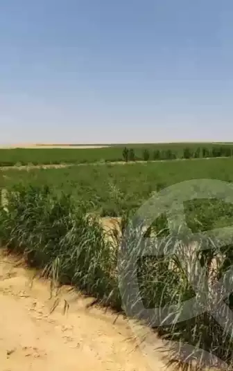 https://aqarmap.com.eg/en/listing/6237977-for-sale-beheira-wadi-el-natrun