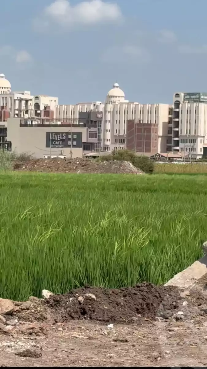 https://aqarmap.com.eg/en/listing/6238138-for-sale-dakahlia-mansoura-hay-el-ashgar