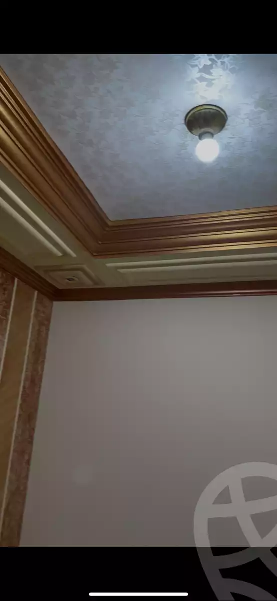 https://aqarmap.com.eg/ar/listing/6238437-for-rent-dakahlia-mansoura-toril-el-gaish-st