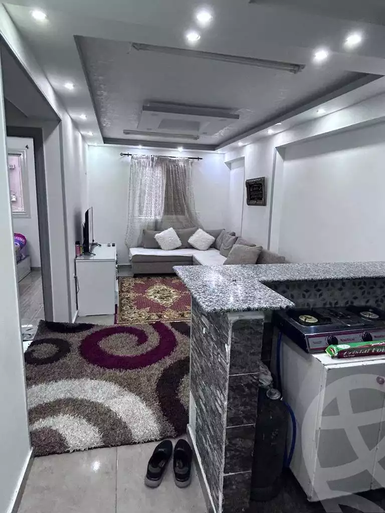 https://aqarmap.com.eg/en/listing/6242559-for-sale-cairo-ain-shams-mnshy-lthryr