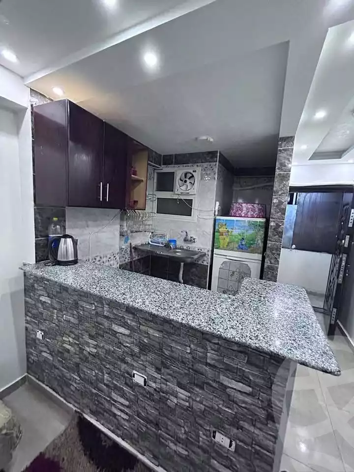 https://aqarmap.com.eg/en/listing/6249310-for-sale-cairo-ain-shams-mnshy-lthryr