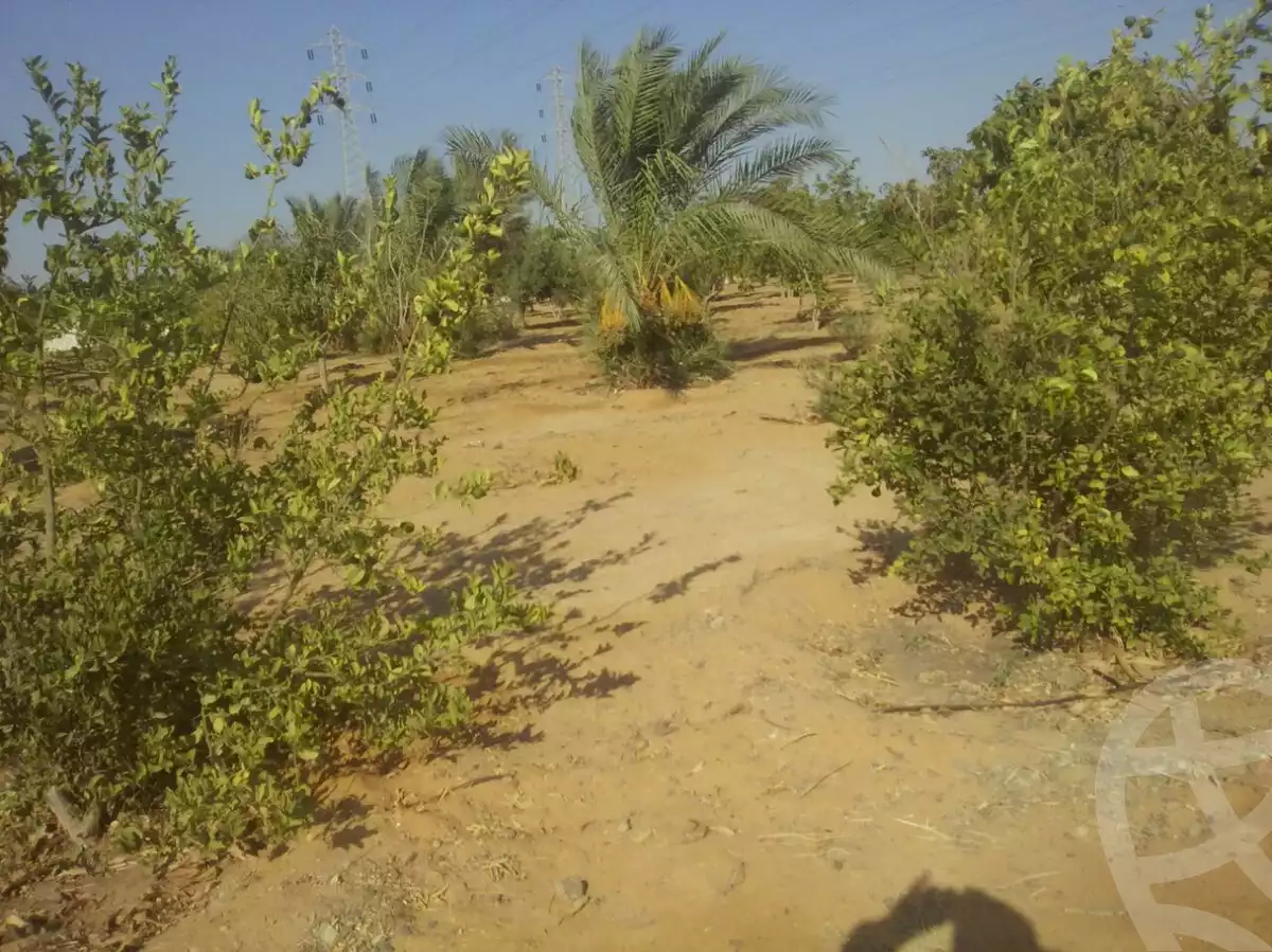 https://aqarmap.com.eg/ar/listing/6250461-for-sale-suez-suez-city-suez-city