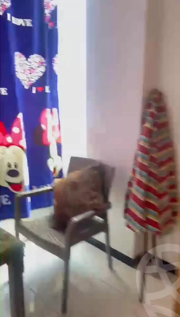 https://aqarmap.com.eg/en/listing/6251081-for-sale-alexandria-l-jmy-shataa-el-nakheel